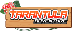 Tarantula Adventure
